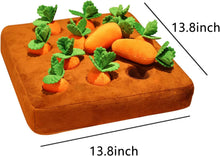 Load image into Gallery viewer, Carrot Snuffle Mat
