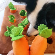 Load image into Gallery viewer, Carrot Snuffle Mat
