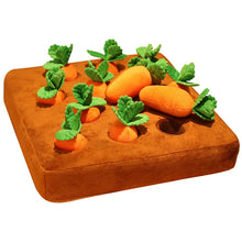 Load image into Gallery viewer, Carrot Snuffle Mat
